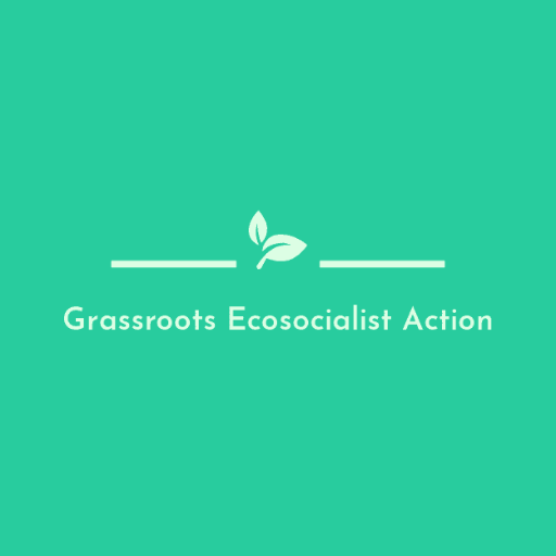 Advocate for Ecosocialism among the grassroots in Canadian progressive politics.