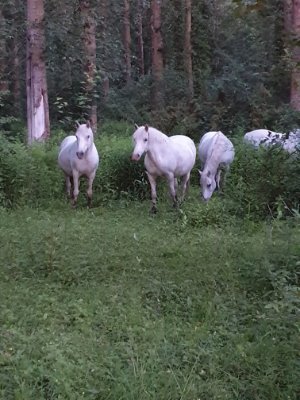 OUCHEN91's profile picture. Exceptionnel