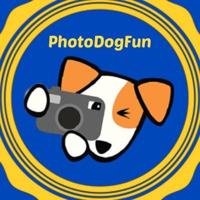 If you have a pet, Love Dogs, Cats, Etc. Follow @photodogfun for the best photogaphy and funny videos to make you smile. https://t.co/QOQu1frWCh