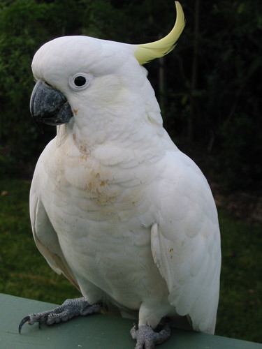 InfoWorksAP's profile picture. 