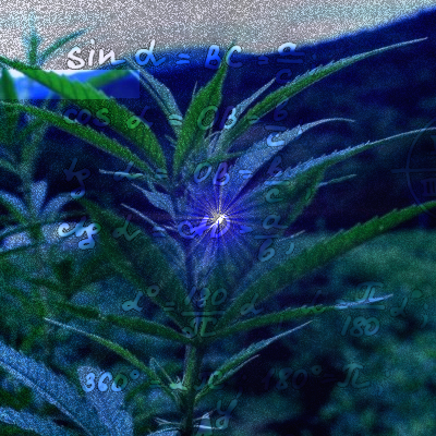 EconStreetwise's profile picture. Providing a breakdown of current economic news and concepts in a way that everyone can understand, currently specializing in all thing’s hemp.