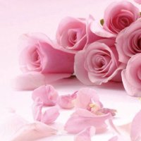 سميرة الأخوند (@balsamq8) 's Twitter Profile
