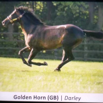 confidencebet's profile picture. likes running and horse racing.non league football. only bet on horses. study form 2 hrs per day. do not subscribe to tips confident in my own ability.