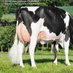 Hennikers Holsteins (@hennikers) Twitter profile photo Hennikers Holsteins (@hennikers) Twitter profile photo
