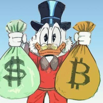 Hazl04's profile picture. Crypto & Sailing