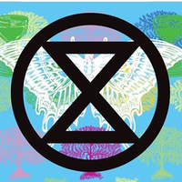 XR Ipswich (@xripswich) 's Twitter Profile