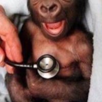 タツヤ (@f2qztzanmu8grnr) 's Twitter Profile Photo