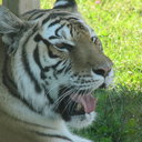 Benjamin Langlois - @Benjamin6264 - Twitter