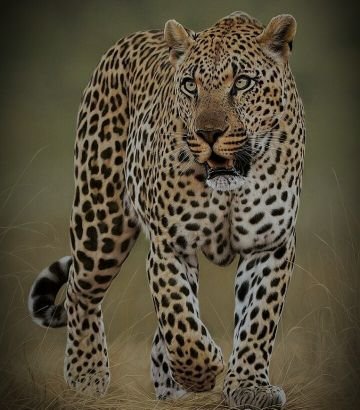 i_keuro's profile picture. More and more