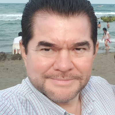 Ing. Civil Titulado, con estudios de maestría en Ing. Hidráulica, diplomado en Calidad Total y Liderazgo. Director de IHDS SA de CV, Miembro del PAN desde 1986.