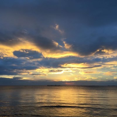 melitewl's profile picture. 🌚