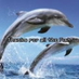 Oh My Flying Dolphins (@psalm82) Twitter profile photo