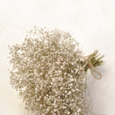 LEE YEO JUNG - @_YeoJung - Twitter