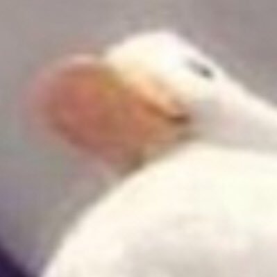 Sam_F_in_chat's profile picture. haha yeah