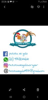 Patotadogalo191's profile picture. uma Pessoa amiga,Muitas das vezes uma paizão, pAra NOSSO grupo de Jovens que trabalha fazendo aula e  workshop pela cidade desde Mundão.