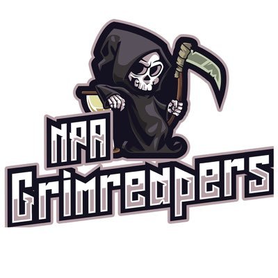 Competitive Xbox Pro Am team GM @dahicks12 @NPA2KLeague Looking to get recruited hit DM