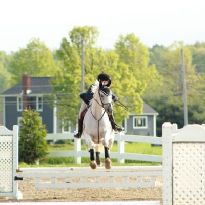 find me at your local horse show concession stand