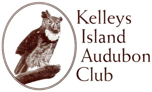 Bird and discover Kelleys Islands natural wonders