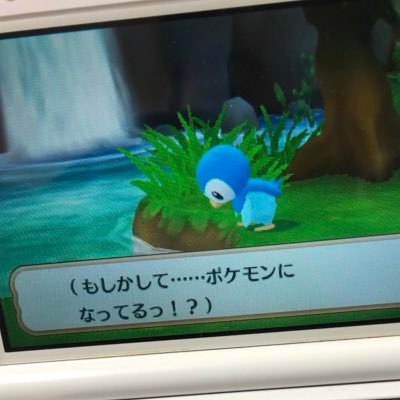 ポッチャマさんのプロフィール画像