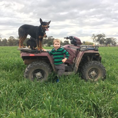 Farmer in Northern Victoria. Sheep and cropping.