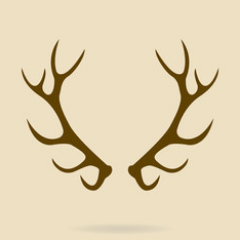 Hunting Activities, Hunting News, Info, Hunting Product Reviews.