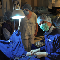 Sergio Richter (@sergiorichtermd) 's Twitter Profile