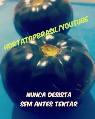 Horta Top Brasil