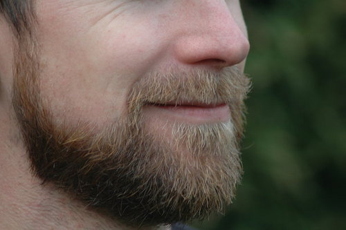 Rob Jones Profile