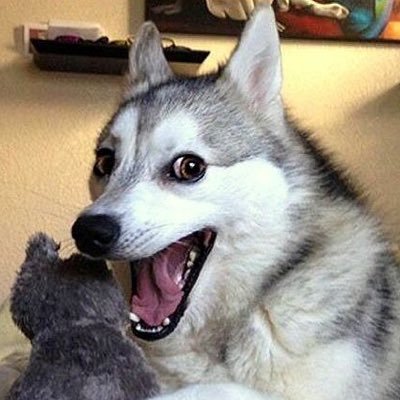 goodpunbadpun's profile picture. Follow for pun-believably good and pun-ishingly bad puns. Creating connections through cringey conundrum collections. hey, that rhymed!😂