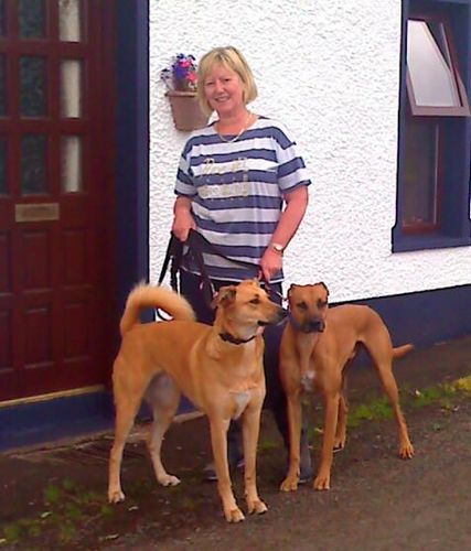 My name is Diane and I live in Northern Ireland with my husband and two woofers called Harvey & Gina.  I am a bridge enthusiast and love gardening.