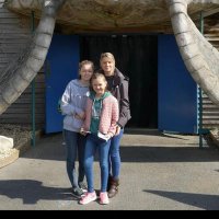 donna smith (@dmsmiffy) 's Twitter Profile