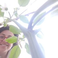 Barbara MESTER (@barbaramesterec) 's Twitter Profile