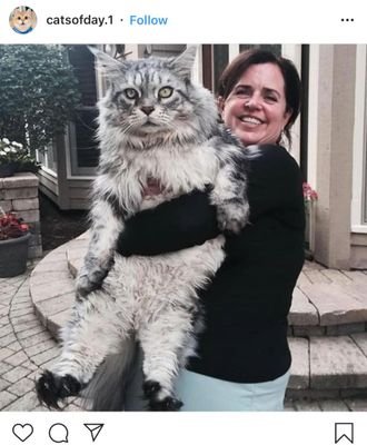 steilar2's profile picture. Are you a scammer?