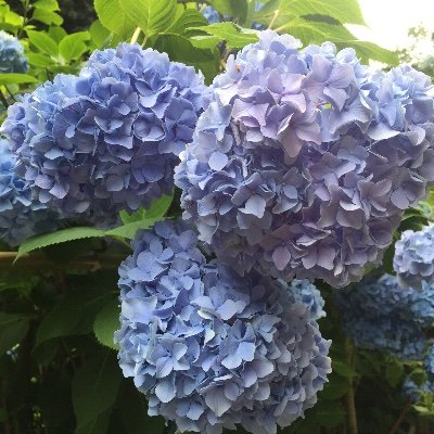 rmf74596042's profile picture. 沖神/18歳以上/ Twitter初心者です/ 無言フォローさせて頂きます。すみませんm(_ _)m