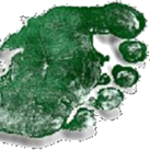 eco_revolution's profile picture. oggi il compito di una rivoluzione non è di sollecitare la tendenza storica a realizzarsi, ma al contrario di arrestarla