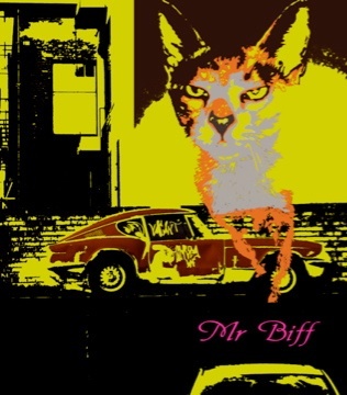 vivipops's profile picture. 