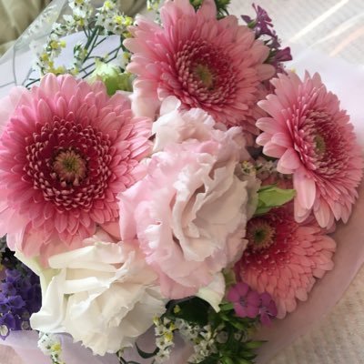 iwjDGKFLexxgt7i's profile picture. 公認心理師アカウント。