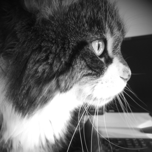 kuma3ism's profile picture. 猫になりたいプログラマ！
日記代わりに思った事をつぶやく！!