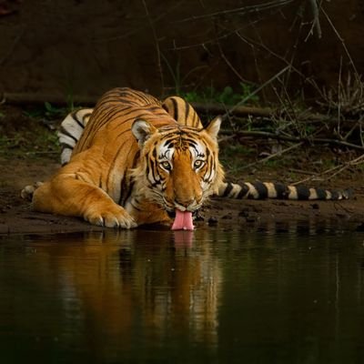 14510654ae794c8's profile picture. montañes