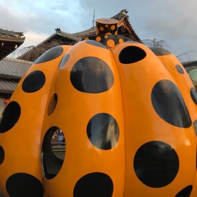 dHzIVgQKg9JyEWk's profile picture. 