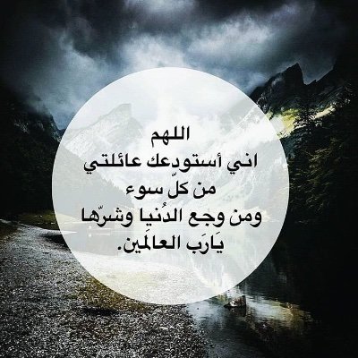 loloalolo74's profile picture. 