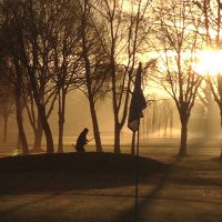 john (@parregcc) 's Twitter Profile