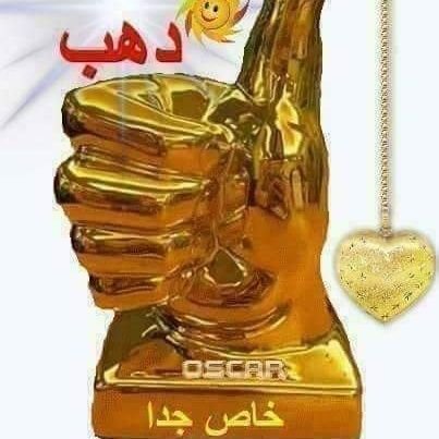 KnMs81jpcKoAWGN's profile picture. 