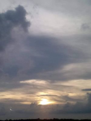 Sunny59834432's profile picture. 