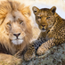 SelectTravelHolidays (@select_th) Twitter profile photo SelectTravelHolidays (@select_th) Twitter profile photo