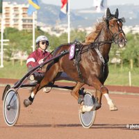 Martens Christophe (@martenschristo2) 's Twitter Profile