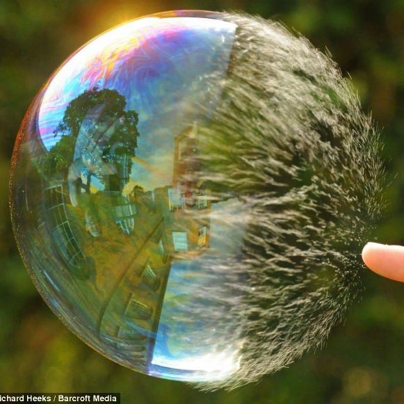 vasilegheorghiu's profile picture. Trying to understand our world.