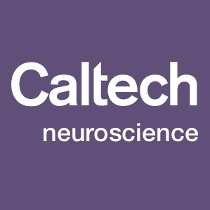 CaltechN Profile Picture