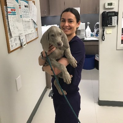 🇫🇷 Veterinarian, mobile sonographer in Virginia 🇺🇸, https://t.co/nYcRdYmC1o