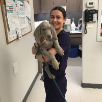 Sonopaws (@sonopaws) 's Twitter Profile